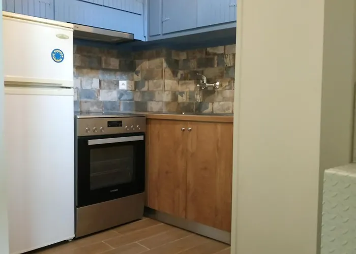 House Old Port 斯基亚索斯镇